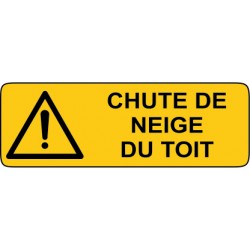 Chute de neige du toit