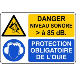 Danger niveau sonore supérieur a 85dB / protection obligatoire de l'ouie