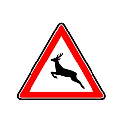 Passage d’animaux sauvages