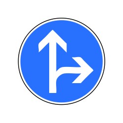 Direction obligatoire tout droit ou à gauche